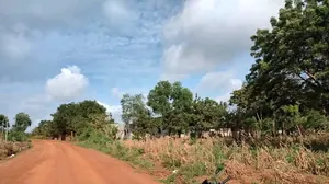 Terrain de 25 hectares en vente à Badja Agoudja – 8 500 000 FCFA l'hectare — photo 4