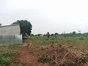 Terrain 11 lots à vendre à Adidomé – 7 500 000 FCFA le lot
