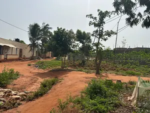 Terrain de 4200 m² (7 lots) en vente à Djagblé Abolavé – Prix à partir de 8 millions FCFA — photo 2