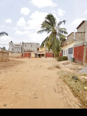 Terrain demi-lot 300 m² en vente à Agoè Sogbossito Oando – 15 millions FCFA — photo 3