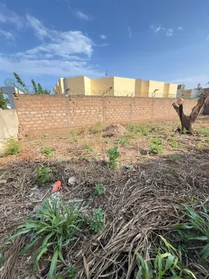 Vente d'un terrain à Nukafu Cerfer / China Mall, demi-lot clôturé – 50 millions FCFA — photo 4