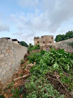 Terrain demi-lot clôturé à vendre à Agoè Main de Dieu – à partir de 20 millions FCFA — photo 4
