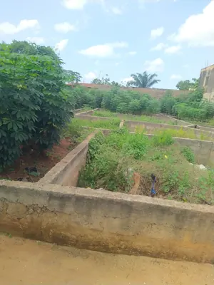 Terrain 667 m² en vente à Agoè Assiyéyé – à partir de 35 millions FCFA — photo 4