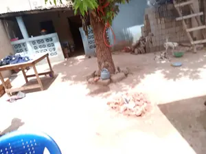 Maison 2 chambres 160 m² en vente à Agoe Minamadou – 20 millions FCFA — photo 4