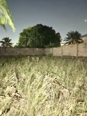 Vente d'un terrain à Sanguéra, demi-lot 300 m², à 80 m du goudron RN5 – 14 millions FCFA — photo 6