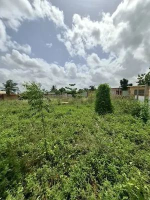 Terrain clôturé en angle de rue à vendre à Ségbé Klémé Kpodji – 21 000 000 FCFA — photo 3
