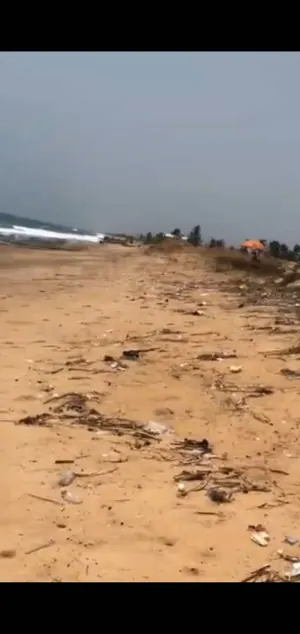 Terrain 35 lots en vente en angle de rue en bordure de plage à Agbodrafo Dévikinmé – 25 millions FCFA le lot — photo 3