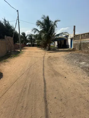 Vente d'un terrain à Kpogan, côté plage, 1/4 de lot carré clôturé, à 50m du goudron – 7 millions FCFA — photo 4