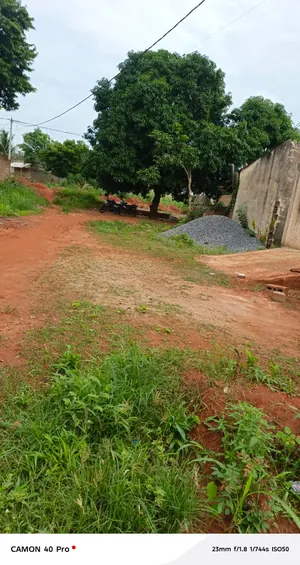 Terrain en vente à Kovié – 1,5 millions FCFA le lot
