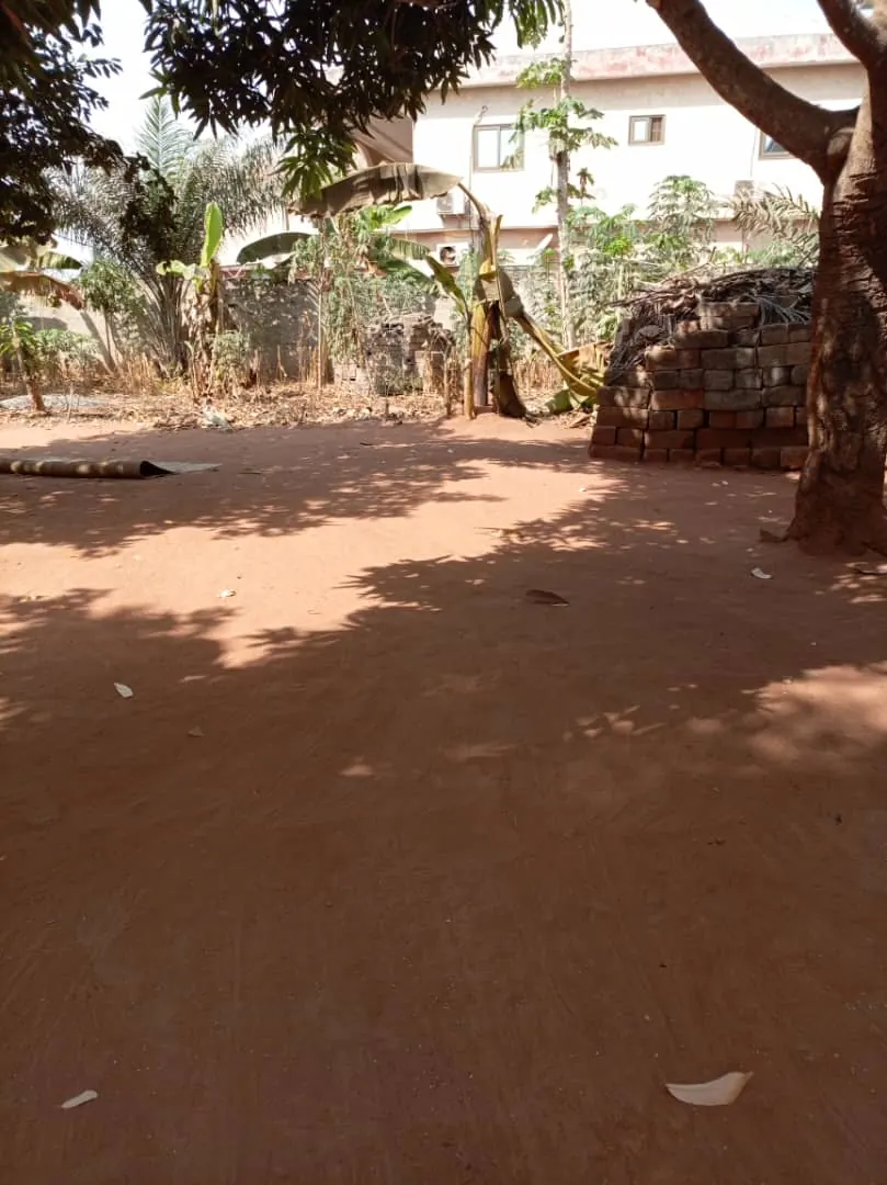 Terrain 1/4 de lot en vente à Adidogomé Atilamonou – 8,5 millions FCFA
