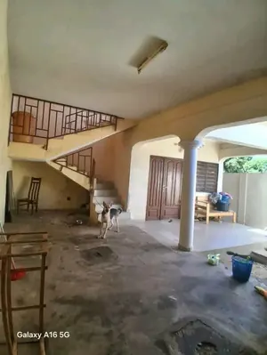 Terrain 600 m² en vente angle de rue bord du goudron à Davié – 12 millions FCFA — photo 2