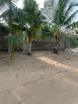 Terrain 1500 m² en vente à Baguida – 50 millions FCFA le lot — photo 2