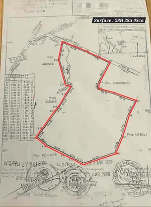 Terrain agricole de 28 hectares en vente à Badja – prix à partir de 3 millions FCFA le lot
