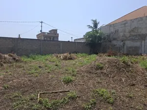 Terrain 987 m² en vente à Attiégou, derrière l'aéroport – 70 millions FCFA — photo 5