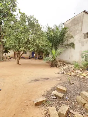 Terrain de 601 m² en vente à Agoè Aŋomé près du rond-point Adroukpapé – 70 000 000 FCFA — photo 3