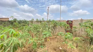 Terrain demi-lot 300 m² à vendre à Adidogomé Segbé Akato – 10 millions FCFA