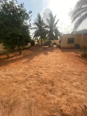 Vente de terrain à Kégué Stade, 2 lots, proche du goudron – 110 millions FCFA — photo 2