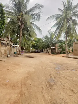 Terrain 300 m² en vente à Sanguéra Klemé – 13 millions FCFA — photo 4