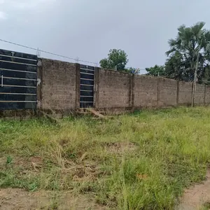 Terrain 1 lot de 600 m² en vente à Legbassito Apessito – 20 millions FCFA