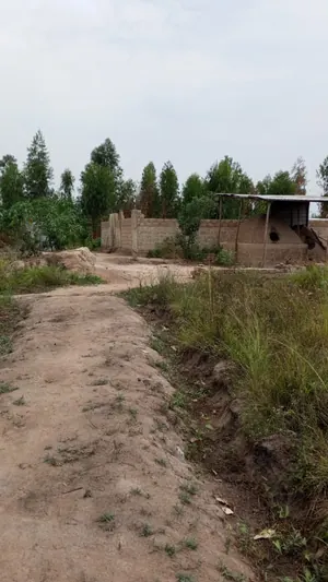 Terrain en vente à Dalavé – prix à partir de 5 millions FCFA le lot