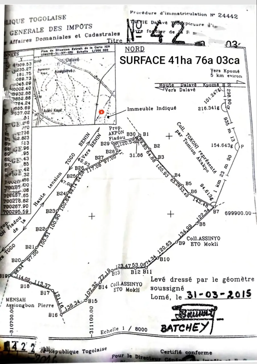 Terrain de 24 000 m² en vente à Dalavé Totokpoé – 40 millions FCFA l'hectare