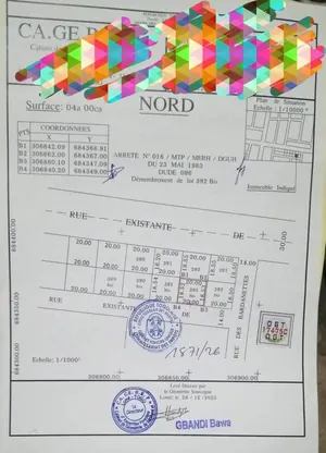 Terrain 400 m² en vente à Togo 2000 – 55 millions FCFA à débattre
