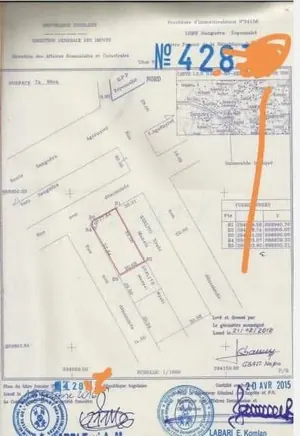 Terrain 798 m² en vente à Zanguéra Zopomahé, angle de rue – 30 millions FCFA