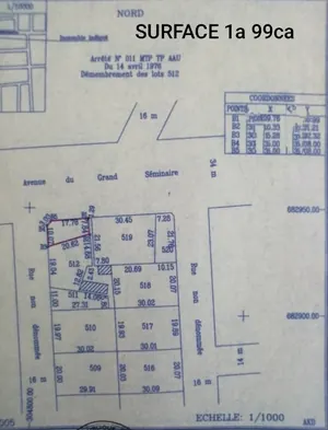 Terrain 200 m² en vente en angle de rues en bordure de goudron à Hédjranawoé – 55 millions FCFA