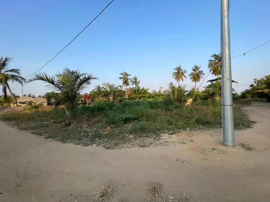 Terrain 1 lot en vente à Agbodrafo Djassémé, angle de rue, bord du goudron – 12 millions FCFA