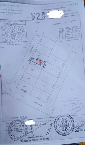 Terrain demi-lot 300 m² en vente à Adidogomé Avénou – 25 millions FCFA — photo 2