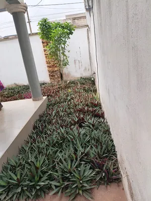 Villa 3 chambres à vendre à Agoe Fil Ô Park – 100 millions FCFA — photo 3