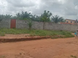Terrain 1500 m² en vente à Ségbé – 70 millions FCFA — photo 2