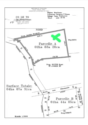 Terrain 15 000 m² à vendre à Tsévié Kolonou – 55 millions FCFA