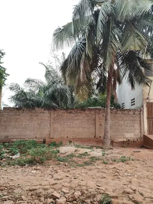 Vente d'un terrain à Agoè Logopé, demi-lot, 300 m², titre foncier personnel – 15 millions FCFA — photo 3