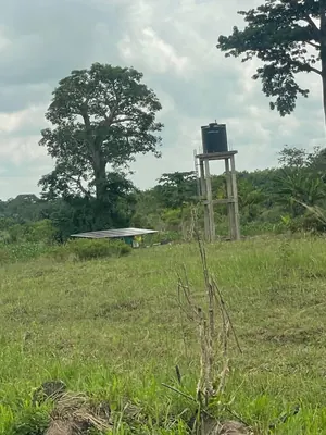 Vente d'un terrain à Avépozo, demi-lot, proche du goudron – 22 millions FCFA — photo 6