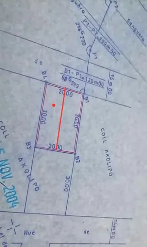 Terrain 824 m² en vente à Assigamé, angle de rue – 750 millions FCFA — photo 4