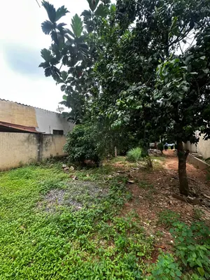 Terrain de 224 m² en vente à Adidogomé Carrefour Obena – 13 millions FCFA — photo 3
