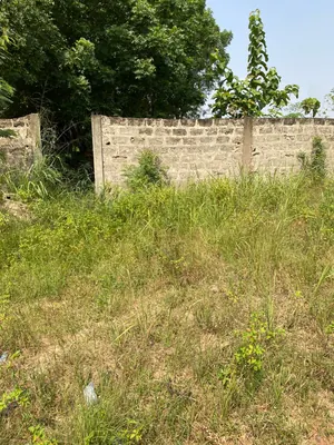Terrain demi lot clôturé en vente à Legbassito Assiko – 8 millions FCFA — photo 2