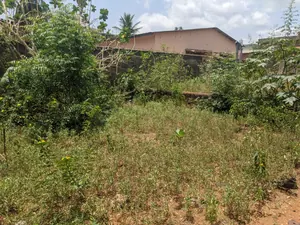 Terrain 3,5 lots (2100 m²) en vente à Agoè Sogbossito, près du contournement – 30 millions FCFA le lot — photo 3