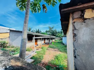Terrain 396 m² en vente à Djidjolé, proche du goudron – 35 000 000 FCFA — photo 2