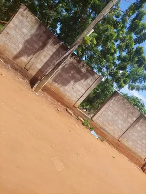 Terrain clôturé avec titre foncier en vente à Agoè Fil'O PAC – 57 000 000 FCFA — photo 3
