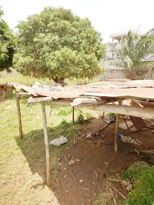 Terrain demi-lot 300 m² en vente à Agoè Sogbossito Oando – 15 millions FCFA — photo 2