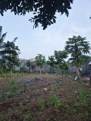 Terrain 1109 m² en vente à Agoè Telessou (Carrefour Pardon) – 45 millions FCFA — photo 3