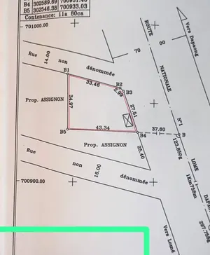 Terrain 2 lots en vente en angle de rue au bord du goudron RN1 à Adetikopé – prix à partir de 65 millions FCFA le lot