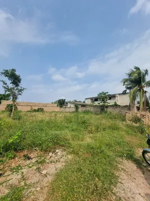 Terrain 1 lot (600 m²) en vente à Segbé Akato – 23 000 000 FCFA — photo 2
