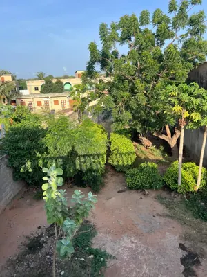 Terrain 2000 m² en vente à Bè Klikamé – 35 millions FCFA — photo 3