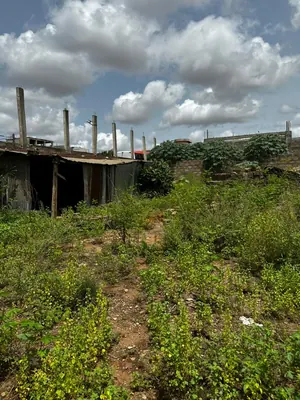 Terrain clôturé 1 lot (600 m²) avec titre foncier en vente à Agoè Fil'O PAC – 57 000 000 FCFA — photo 3