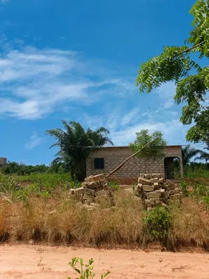 Terrain demi-lot de 300 m² en vente à Zanguera Aképédok – 7,5 millions FCFA