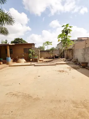 Vente d'un terrain à Agoè Logopé, demi-lot de 300 m², bord de la grande voie de 20 m, près du carrefour Épervier – 22 millions FCFA — photo 4