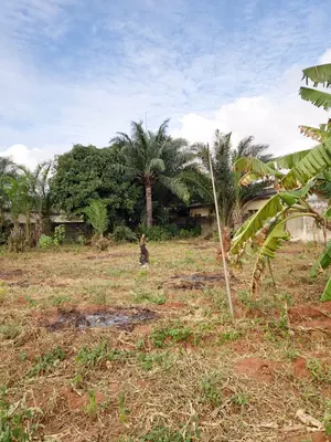 Vente d'un terrain à Agoè Logopé Carrefour Bar Épervier, demi-lot 300 m², clôturé – 15 000 000 FCFA — photo 2